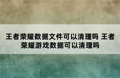 王者荣耀数据文件可以清理吗 王者荣耀游戏数据可以清理吗